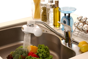 蛇口取り付けタイプミニ